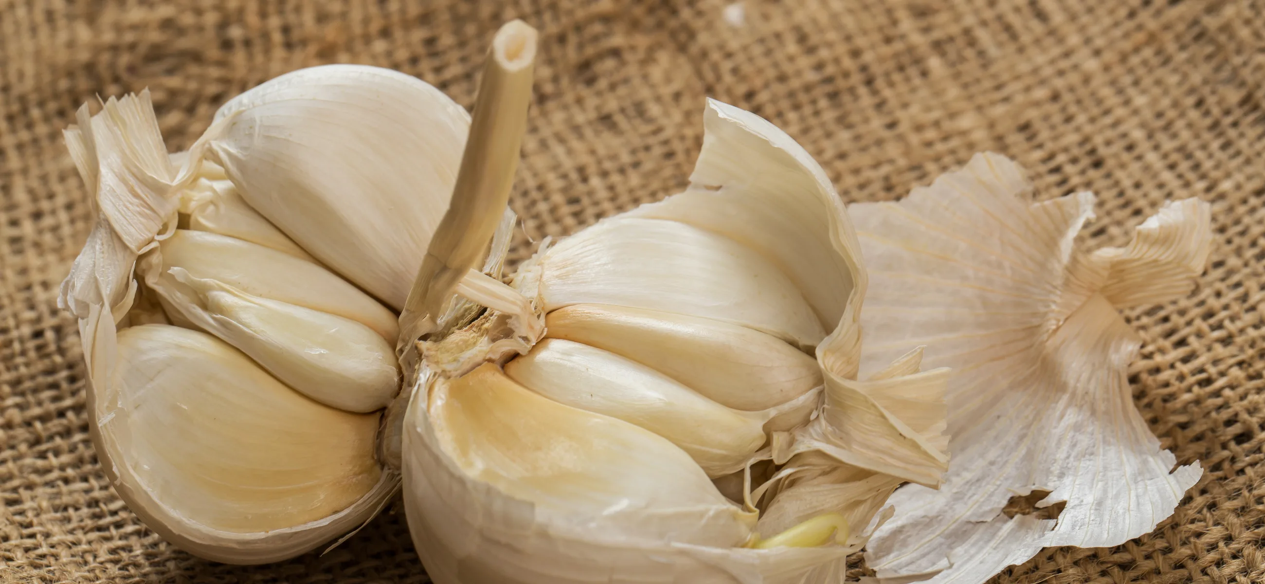 Garlic breath: 6 best natural and instant methods to get rid of it